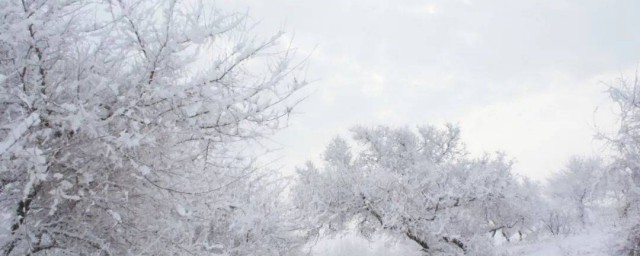 下里巴人和阳春白雪什么意思(阳春白雪和下里巴人指的是什么意思)
