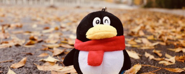 怎么隐藏QQ群昵称让其匿名聊天(qq群匿名昵称设置)