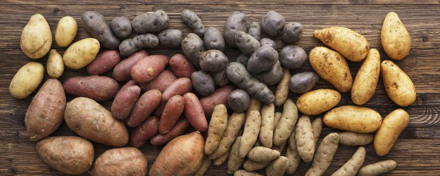 储存土豆不长芽的方法(土豆怎样保管不长芽)