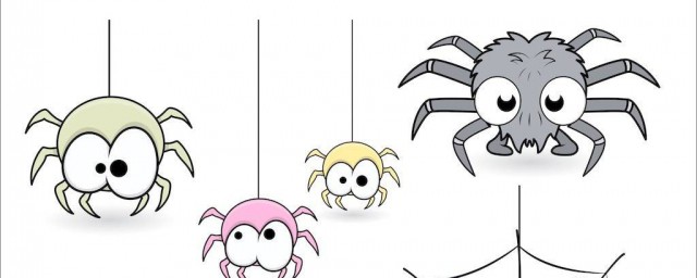 哪个品种的蜘蛛是世界上最大的(世界上蜘蛛有多少种类)