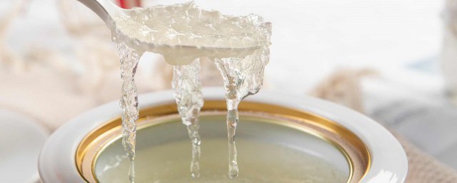 燕窝相关简介(燕窝公司简介)