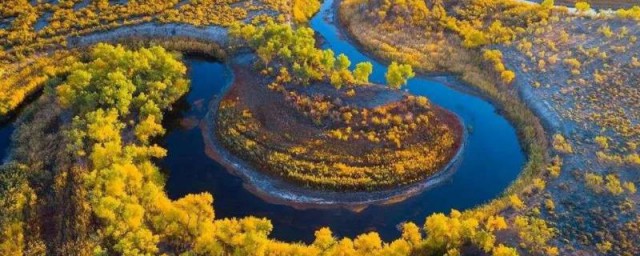 乌苏有什么特点(乌苏种类区别)