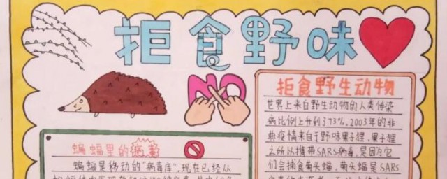 野生动物保护日手抄报资料有哪些(关于保护野生动物的手抄报资料)