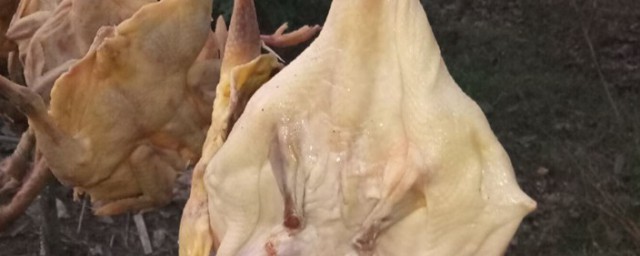 腊鸭子太咸怎么办(腊鸭子太咸怎么做好吃法大全)