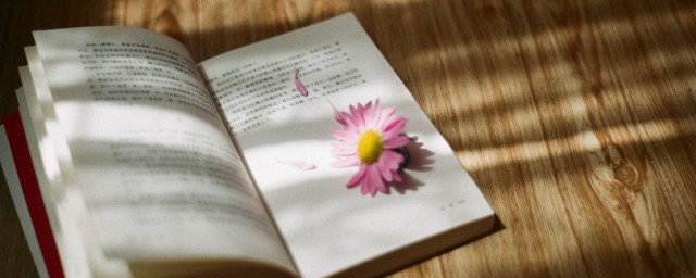 人如其名的解释(人如其名名如其人)