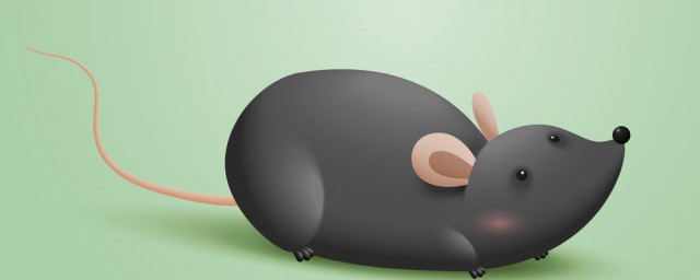 关于老鼠咬人(老鼠咬人是什么样的)