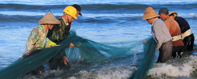 做梦捉鱼预示的意思(做梦捉鱼意味着什么)