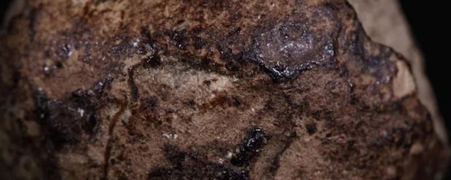 龙涎香储存的做法(龙涎香如何制作)