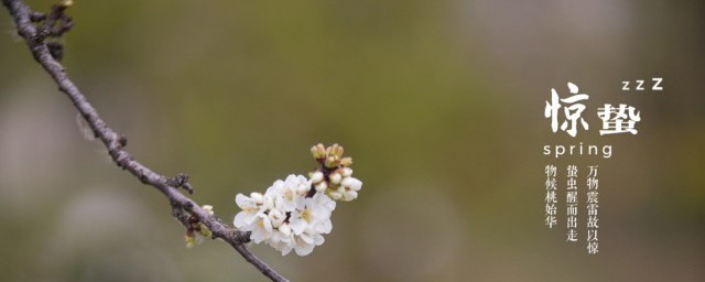 关于惊蛰的古诗合集(关于惊蛰的古诗词摘录)