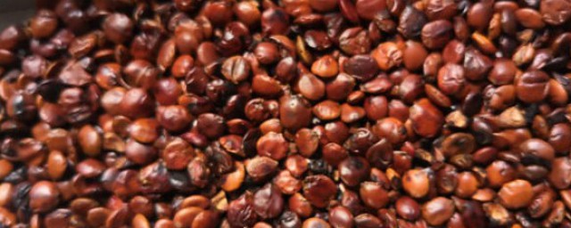 炒枣仁的禁忌(炒枣仁怎么吃)