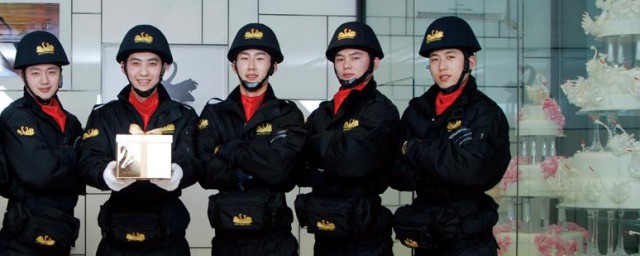 黑天鹅外卖介绍(黑天鹅的外卖)