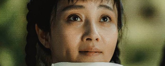 爱情的边疆由谁主演(电视剧《爱情的边疆》剧情介绍)