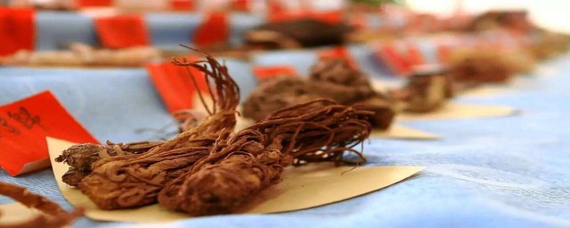 当归必知四种功效与作用(当归有作用和功效)