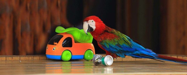 具体动物如下(下列有关动物的叙述正确的是)