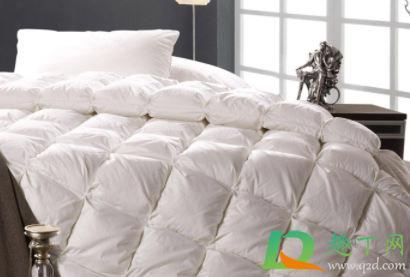 怎么去除羽绒被霉点霉斑(羽绒霉点怎么去掉)