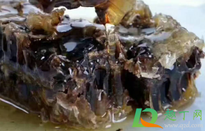 蜂巢素是蜂蜜吗(什么是蜂巢素)