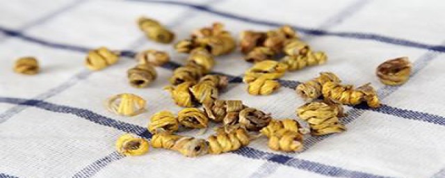 肾阴虚可以吃什么药(肾阴虚可以吃什么药补)