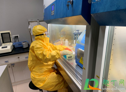 1月28后返乡没核酸证明能上高铁不(现在回家坐高铁需要核酸证明吗)