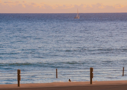 微信状态背景图高清无水印(微信状态背景视频 无水印版)