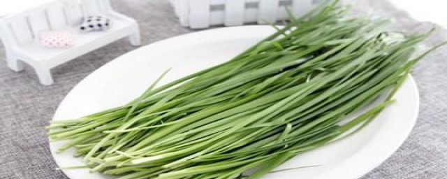 吃韭菜会变胖吗(吃韭菜容易发胖吗)