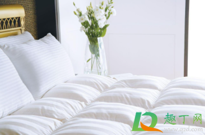 怎么去除羽绒被霉点霉斑(羽绒霉点怎么去掉) 怎么去除羽绒被霉点霉斑(羽绒霉点怎么去掉)