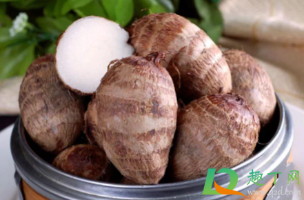 芋头绿了有毒吗(洋芋绿了有毒吗)