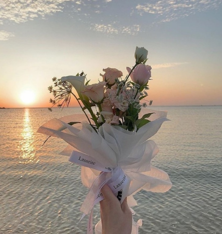 微信状态背景图高清无水印(微信状态背景视频 无水印版)