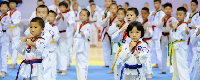 跆拳道有几级几段(跆拳道最高几级几段)