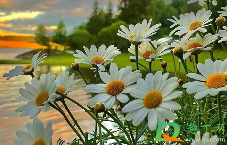 21世纪第21年的第21天朋友圈说说(21年第一天朋友圈)