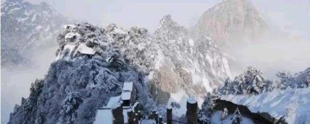 你想去吗(你想去吗翻译)