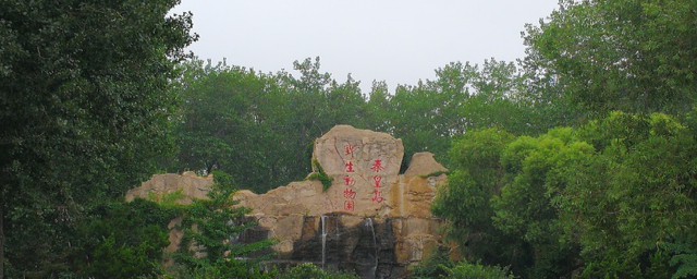 秦皇岛游玩好去处(秦皇岛游玩地方)