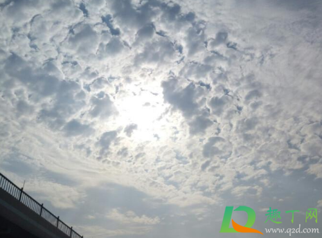 2021清明节天气还冷吗(2020年清明节天气冷吗)