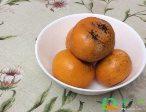 烤橘子对感冒有好处吗(烤橘子真的能治感冒吗) 烤橘子对感冒有好处吗(烤橘子真的能治感冒吗)