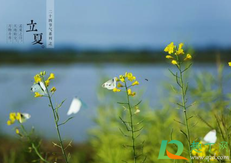 2021年立夏前一天可以结婚吗(2021年立冬前一天能不能结婚)