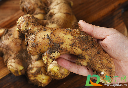 生姜贴肚脐治便秘真的吗(便秘生姜贴肚脐管用吗!) 生姜贴肚脐治便秘真的吗(便秘生姜贴肚脐管用吗!)