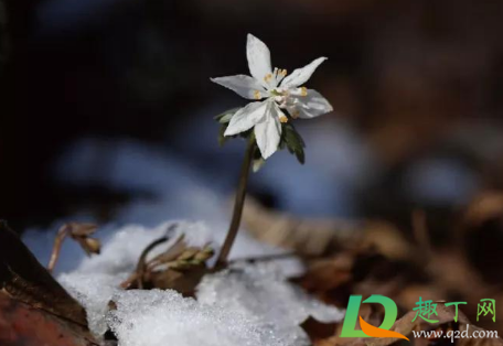 2021惊蛰能不能回娘家(2021年过了惊蛰还冷吗) 2021惊蛰能不能回娘家(2021年过了惊蛰还冷吗)