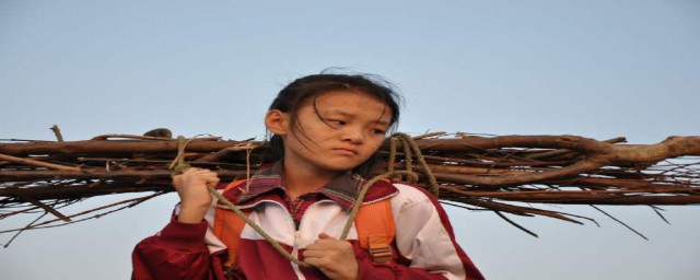 孝女彩金全剧情简介(孝女彩金百度百科)