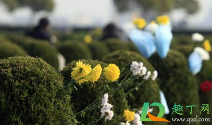 上海2021年清明节扫墓需要预约吗(上海2021年清明扫墓怎么预约) 上海2021年清明节扫墓需要预约吗(上海2021年清明扫墓怎么预约)