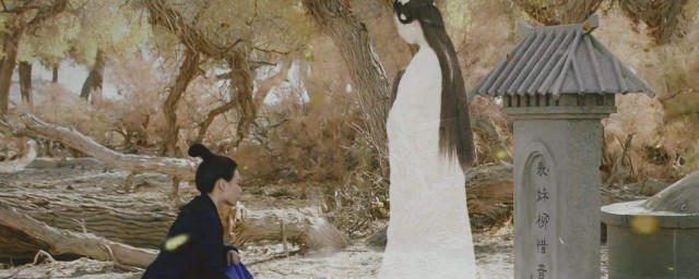 美女谁都喜欢看(谁不喜欢看美女呢)