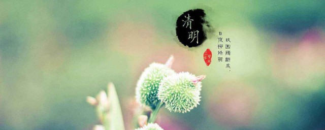 清明节在什么时候(清明节在什么时候过)
