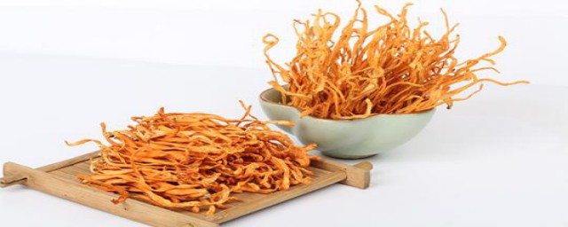 虫草花的好处(虫草花的好处及禁忌)