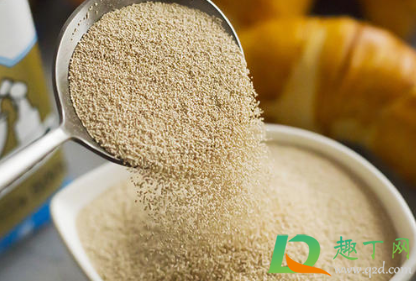 开封的酵母怎么保存最好(开封的酵母粉怎样保存)