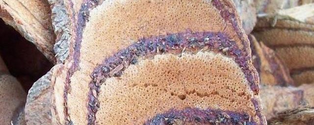 鸡血藤的好处(佩戴鸡血藤的好处)