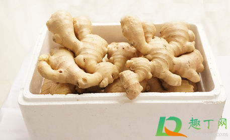 婴儿生姜敷脚心不超过几小时(婴儿姜敷脚心几个小时)