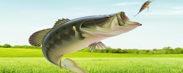 做卖鱼生意有什么诀窍(卖鱼生意怎样才能做大)