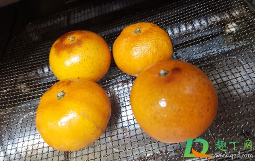 烤橘子饭前吃还是饭后吃(饭前吃橘子还是饭后吃橘子)