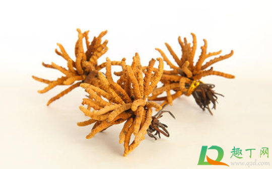 打新冠疫苗可以吃人参吗(打完新冠疫苗可以吃人参吗) 打新冠疫苗可以吃人参吗(打完新冠疫苗可以吃人参吗)