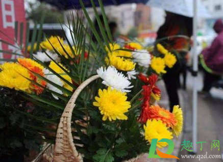 上海2021年清明节扫墓需要预约吗(上海2021年清明扫墓怎么预约) 上海2021年清明节扫墓需要预约吗(上海2021年清明扫墓怎么预约)