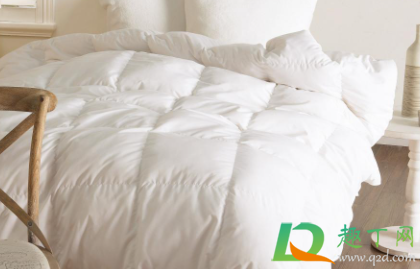 怎么去除羽绒被霉点霉斑(羽绒霉点怎么去掉) 怎么去除羽绒被霉点霉斑(羽绒霉点怎么去掉)