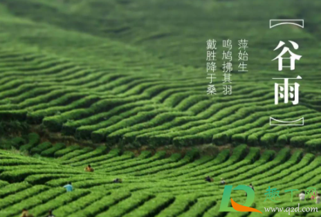 2021谷雨是哪一天几点(2021年谷雨是几时到几时)